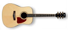 Western, folk of akoestische gitaar
